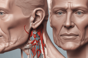 Anatomy of the Parotid Region