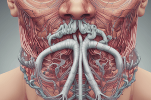 Respiratory System and Nose Anatomy