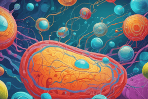 Cellular Transport: Endocytosis and Exocytosis