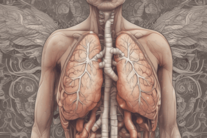 COPD and Emphysema: Respiratory Disorders