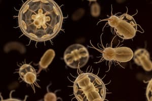 Introduction to Coccidia and Malaria