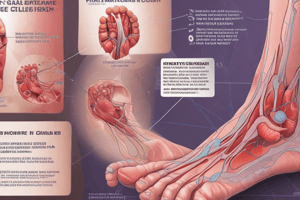 Diabetic Foot Ulcer Classification