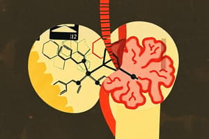 Adrenal Gland Hormones Overview