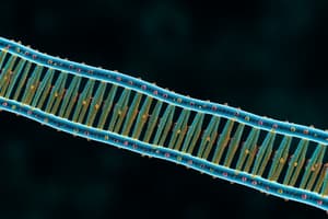 Alternative RNA Splicing & Exon Shuffling