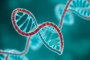 DNA Structure and Replication