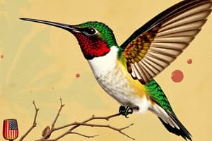 Colibríes: Vuelo y Adaptación