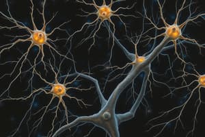 Neurons and Neural Circuits