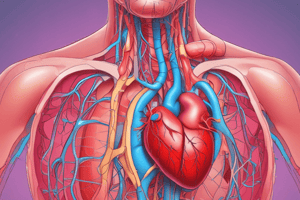 Vasodilatation and Adiponectin: Effects on Blood Pressure and Cardiovascular System