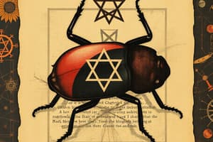 Kabbalah and Moisha the Beetle