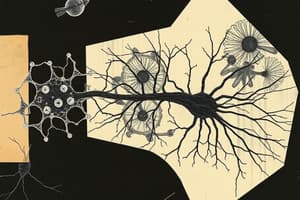 Cell Biology: Cytoskeleton Overview