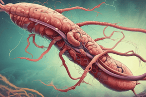 Helicobacter Pylori Infection Causes