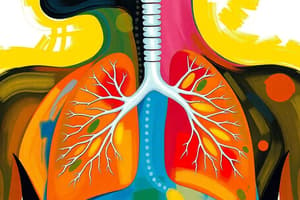 Respiratory System Overview Quiz