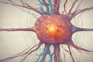 Physiology Chapter: Electrochemical Potentials and Axon Potentials