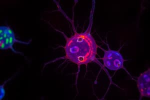 Neurogenesis and Adult Neural Stem Cells