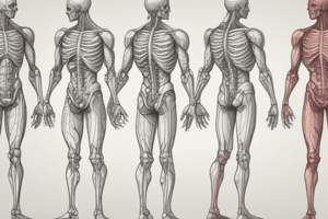 Axial Skeleton