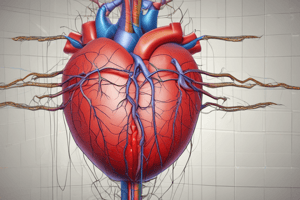 The cardiac system: anatomy and physiology