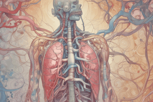 Respiratory System: Gas Exchange