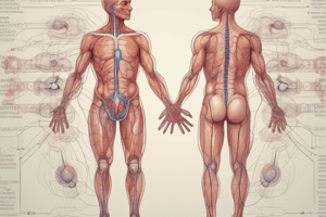 Anatomy and Physiology: Chronic Kidney Disease and Seasoning