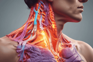 Signs and Symptoms of Neck Pain