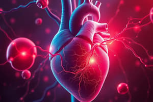 Cardiovascular System Overview Quiz