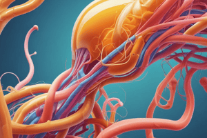 Anatomy of the Nephron and Urine Composition