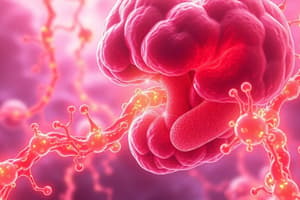 Cholesterol Metabolism and Synthesis