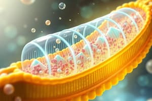 Cell Membrane Transport Quiz