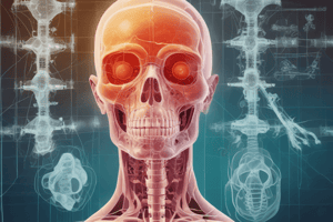 Physiology: X-rays Definition