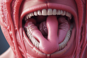 Anatomy and Function of the Tongue and Salivary Glands