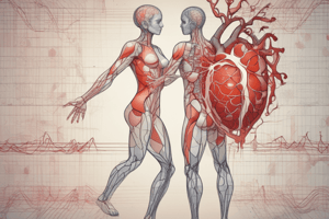 Physiological Effects of Increased Heart Rate