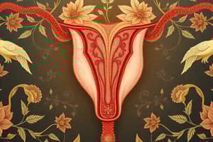 Female Reproductive System