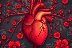 Cardiovascular System Overview