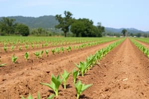 Grade 11 Agriculture: Crop Production Introduction