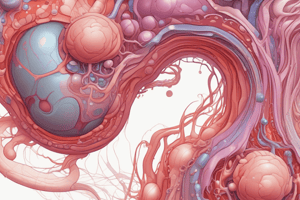 Composición de la barrera de filtración glomerular