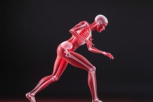 Kinesiology and Human Movement Overview