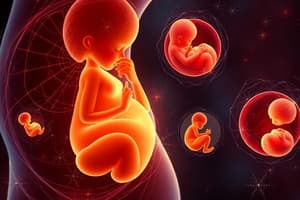 Fetal Development Overview