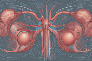 Urinary System Disorders and Functions