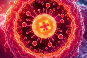 Cellular Structure Differences: Prokaryotic vs Eukaryotic