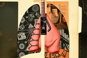 Respiratory System Overview