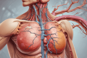 Anatomy of Adrenal Glands