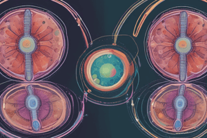 Cell Division: Mitosis and Meiosis