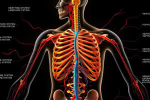 Module 1.1 – Control of Body Systems