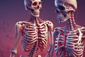 Musculoskeletal System Functions and Diseases Quiz