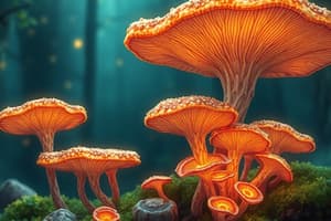 Fungi Basics and Structure