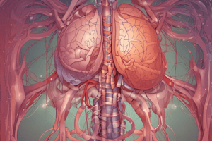 Thyroid Physiology (Medium)