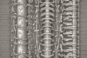 Vertebral Column: Structure, Function, and Stability