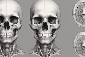 Bone Biology and Composition