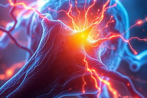 Synaptic and Neuromuscular Transmission