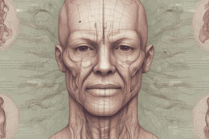 Respiratory System Anatomy: Nose and Pharynx Functions