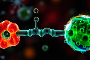 Metabolism, Anabolic and Catabolic Reactions